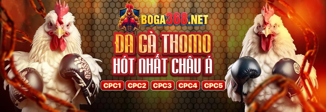 Chương Trình VIP mk88 với các đặc quyền độc quyền