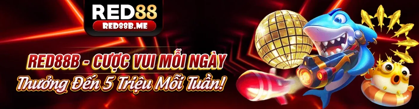 Đấu trường đá gà trực tuyến MK88